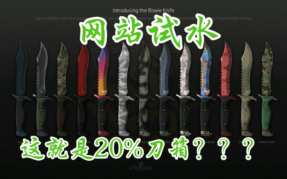 【CSGO】网站试水!八百刀挑战20%刀箱!评论区ROLL小玩具!电子竞技热门视频