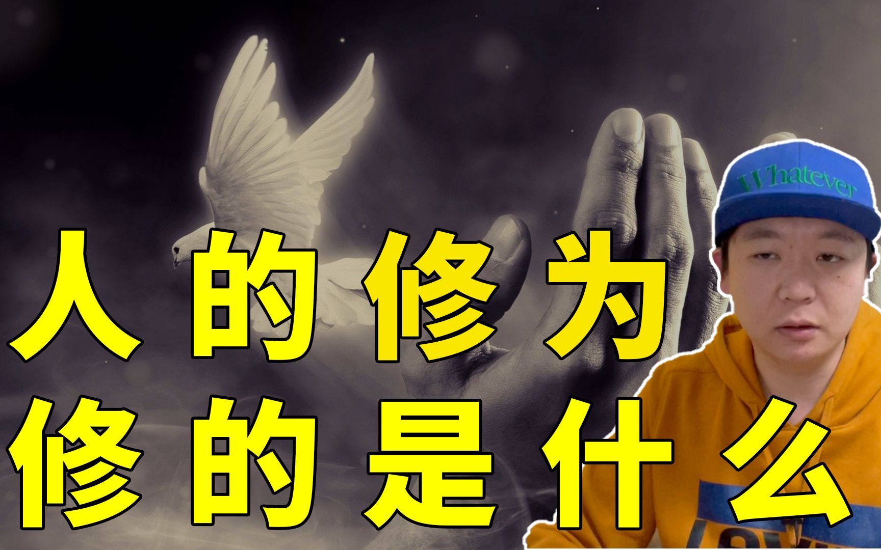 修为到底要修的是什么,不是品德与才华,看完此视频胜读十年书_哔哩