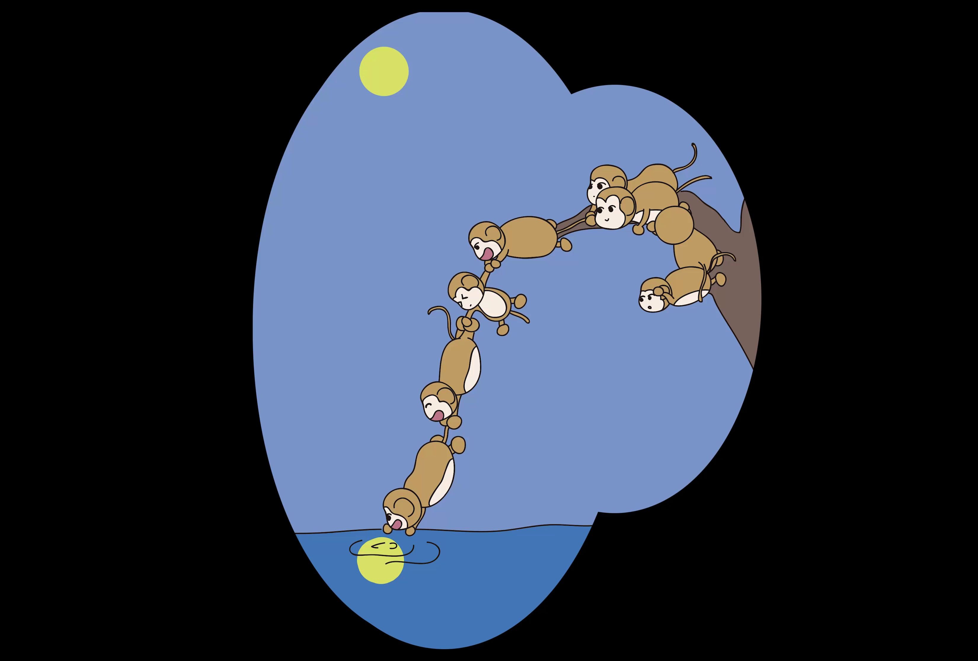 【毁童年】不伦不类之猴子捞月背后的真相