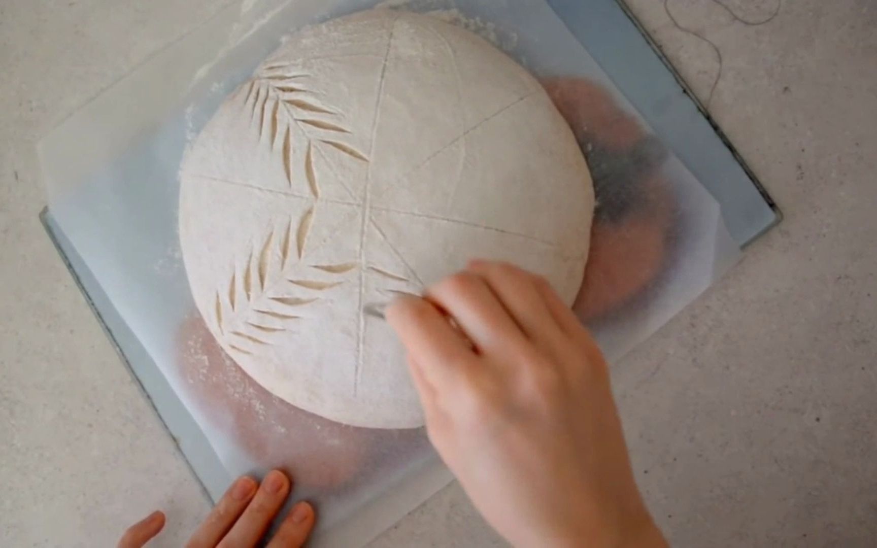 欧包割花3/解压视频/治愈系