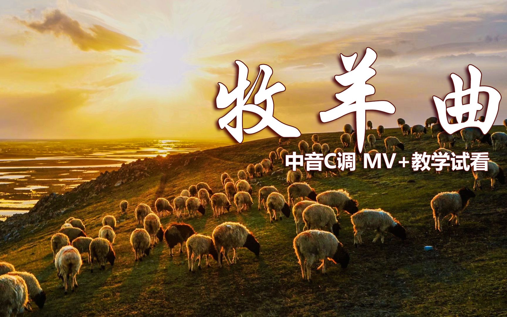 难忘的经典《牧羊曲》,悠扬婉转悦耳动听,萨克斯逐句教学示范!