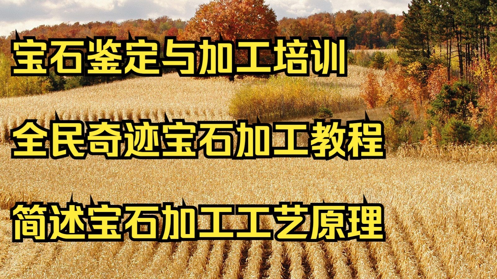人造宝石加工方法图解(人造宝石的价格一般是多少)