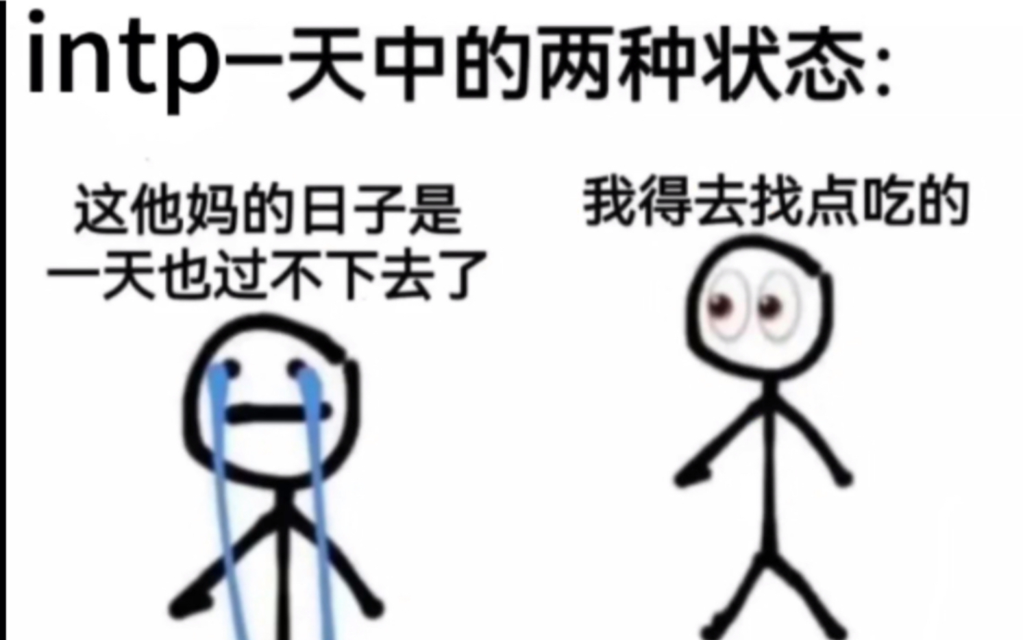 【intp梗图合集】到底谁不疯啊!!!哔哩哔哩bilibili