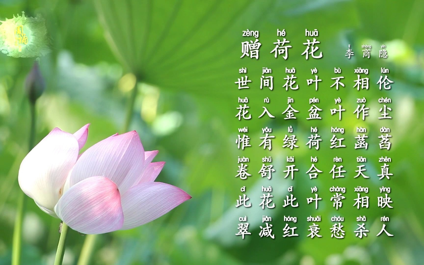 诗三百诵读版 李商隐 赠荷花 惟有绿荷红菡萏 卷舒开合任天真_哔哩