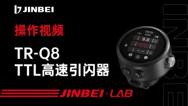 金贝-哔哩哔哩_Bilibili 金贝-哔哩哔哩_Bilibili
