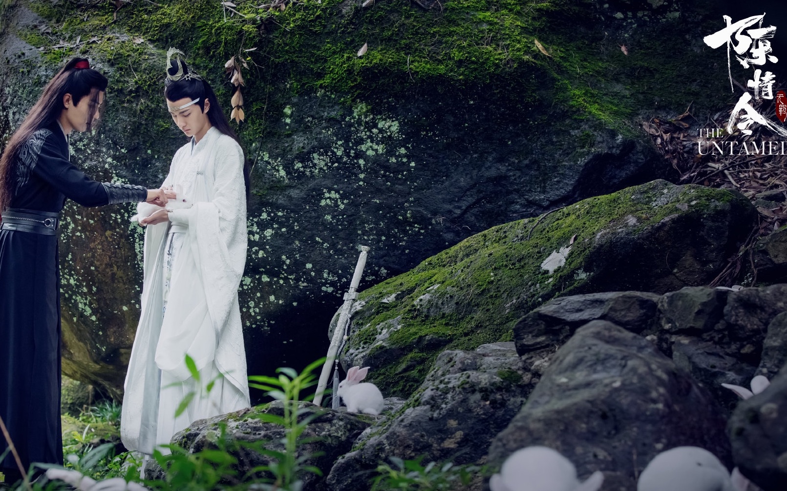 陈情令|忘羡 博君一肖|剑心(张杰)