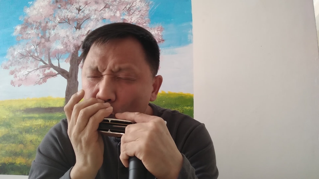 口琴独奏 B站