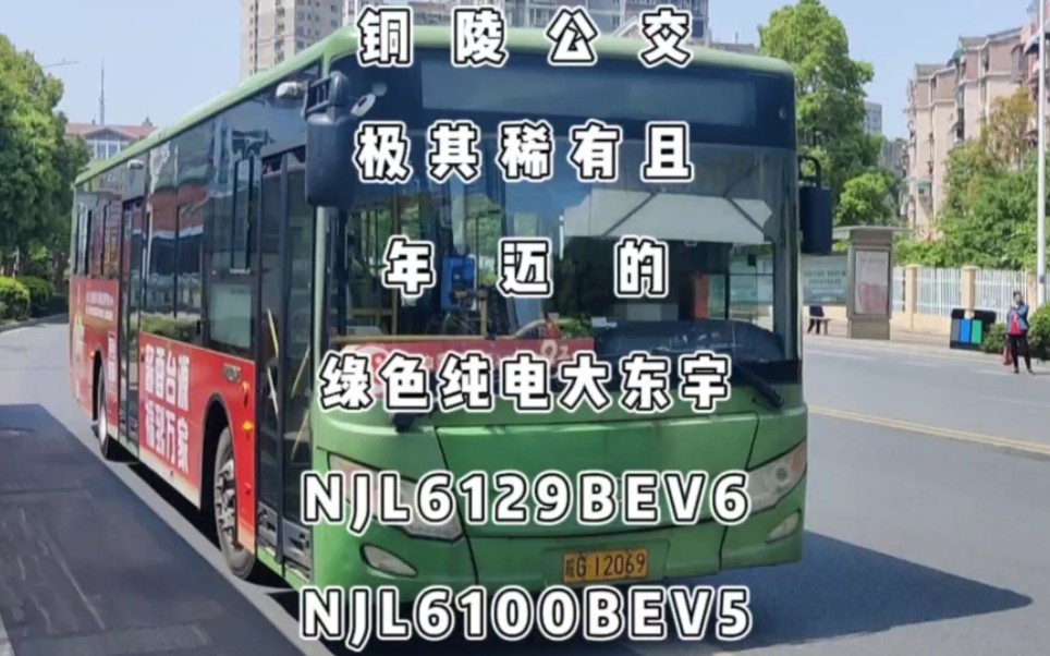 铜陵公交,极其罕见的绿色大东宇纯电动,NJL6129BEV6与D14独苗NJL6100BEV5哔哩哔哩bilibili