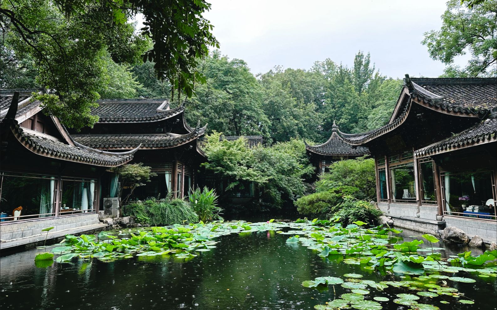 【西湖游记】塔上听雨,雨中赏荷,闲庭观鱼,虔诚有托.哔哩哔哩bilibili