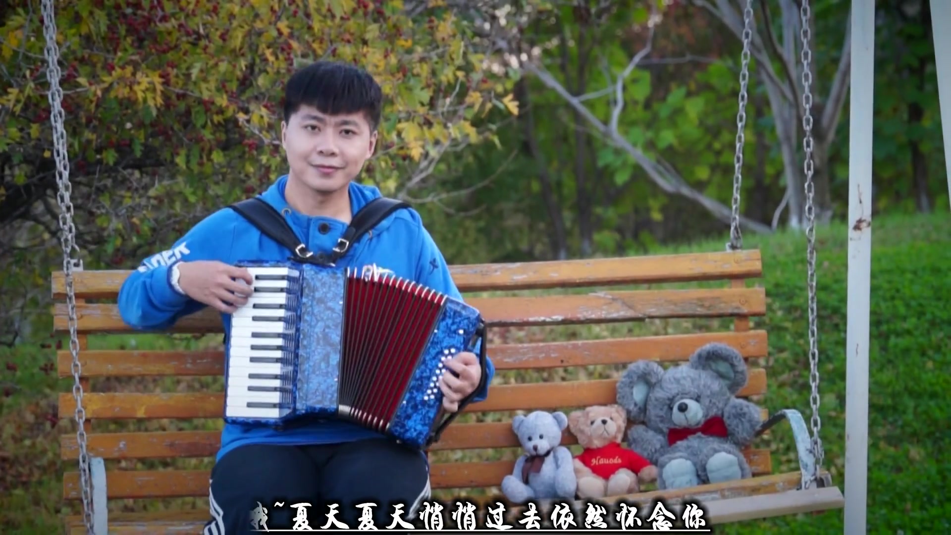手风琴粉红色的回忆