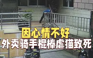 心情不好要发泄？外卖骑手棍棒虐猫致其死亡 小区居民愤怒报警