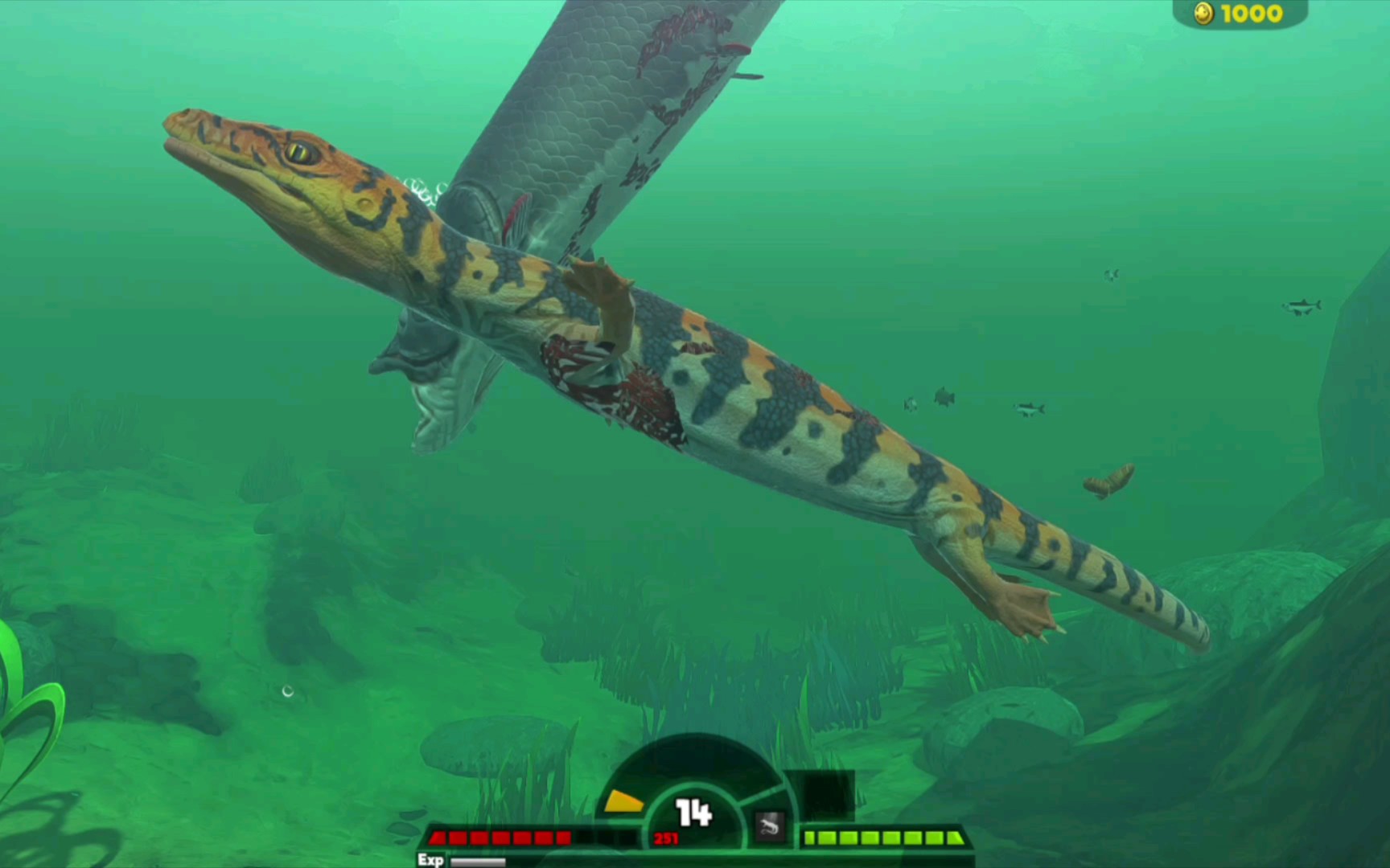 海底大猎杀——河流图的崖蜥和珊瑚礁的沼泽螃蟹.