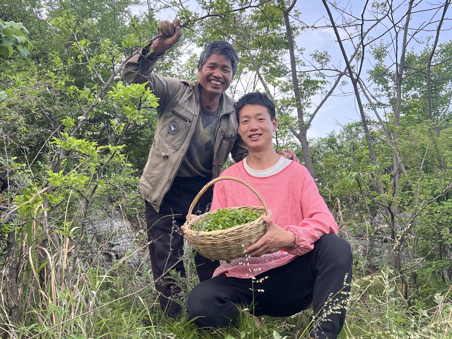 只要人勤劳,啥都能变成宝,自制的酸枣叶茶你喝过吗?哔哩哔哩bilibili