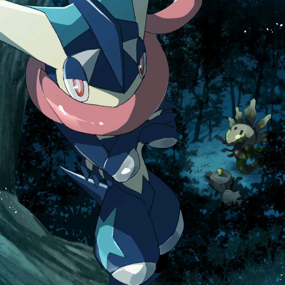 宝可梦小智的甲贺忍树