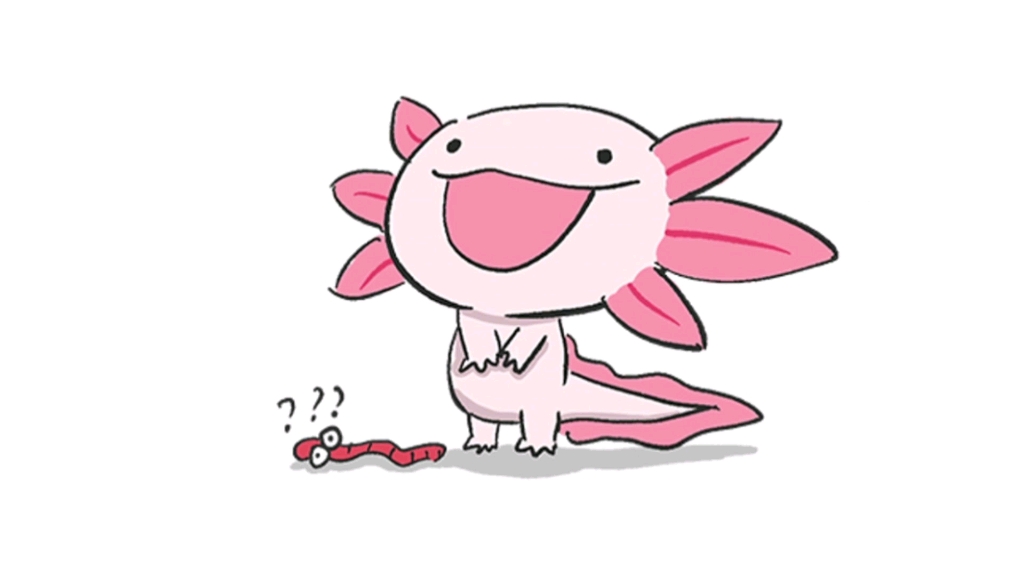 论一只佛系宠物吃饭有多佛系 | 六角恐龙鱼粉崽