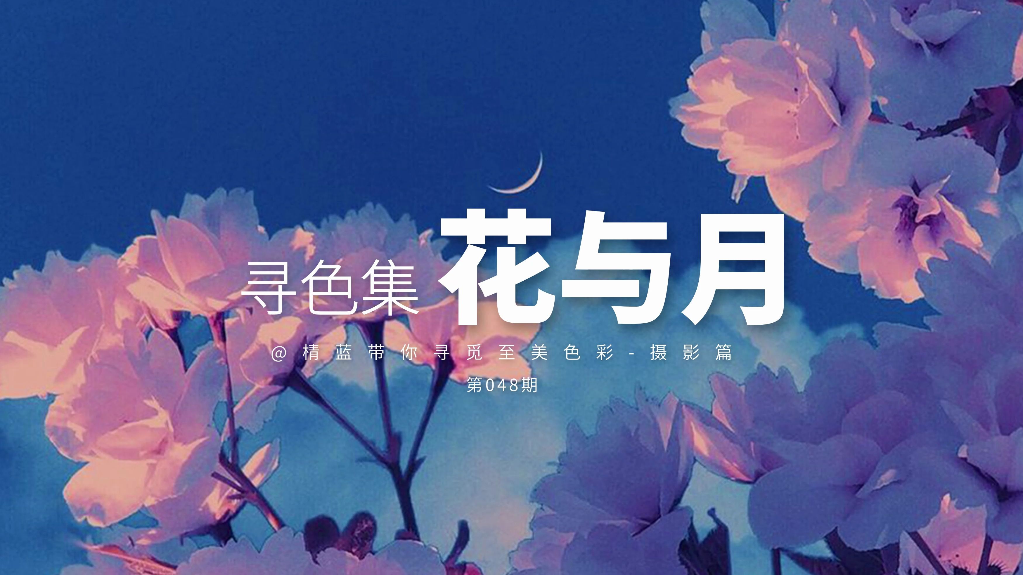 寻色集摄影篇048期 | 花与月 | 审美提升 | 配色灵感哔哩哔哩bilibili