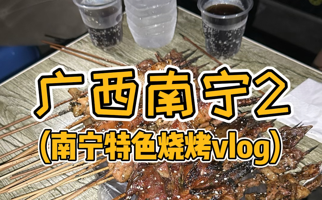 广西南宁行2之特色烧烤vlog哔哩哔哩bilibili