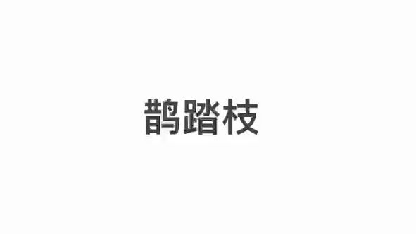 [图]广播剧【鹊踏枝】2024新年限定~欢迎收听（PS：建议带耳机听效果更佳）