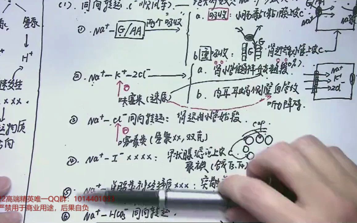 [图]11.2022生理学细胞的基本功能04