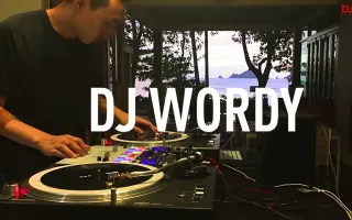 Wordy 哔哩哔哩 Bilibili