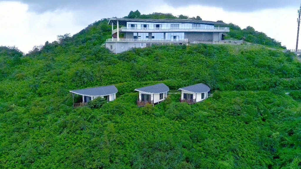 蓝天白云绿草地,泸州之巅罗汉林!