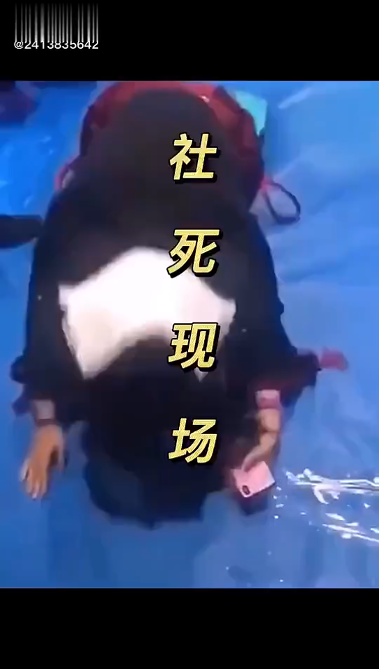 活动作品欢迎收看人类大型社死现场