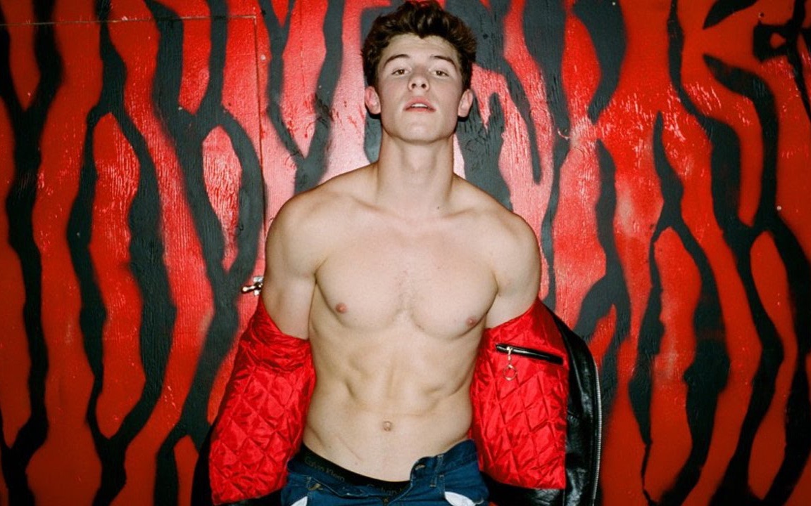 【Shawn Mendes】萌德裸身性感小视频合集!哔哩哔哩bilibili