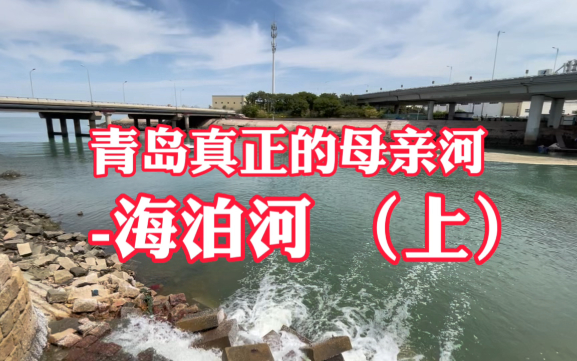 青岛真正的母亲河海泊河,青岛现存的自来水厂的第一口集水井就在河边哔哩哔哩bilibili