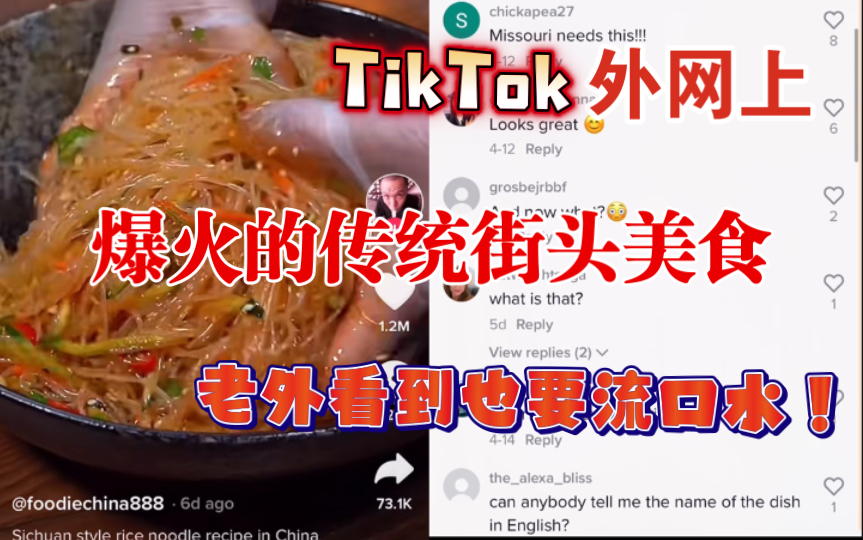 【TikTok】爆火超百万点赞!外网看国内传统街头美食走向世界!花一样的煎饼老外都舍不得吃了!国际版抖音海外网友热议哔哩哔哩bilibili