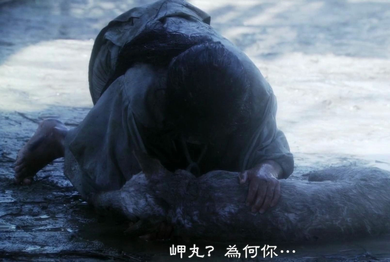 【武家之祖】自己的小狗在与其他狗的撕咬中因为太过弱小被咬死了