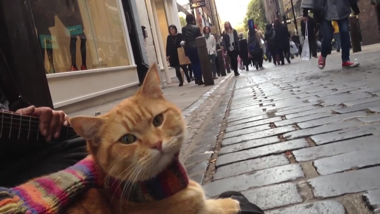 [图]流浪猫鲍勃在2011年'A Street Cat Named Bob' The Big Issue