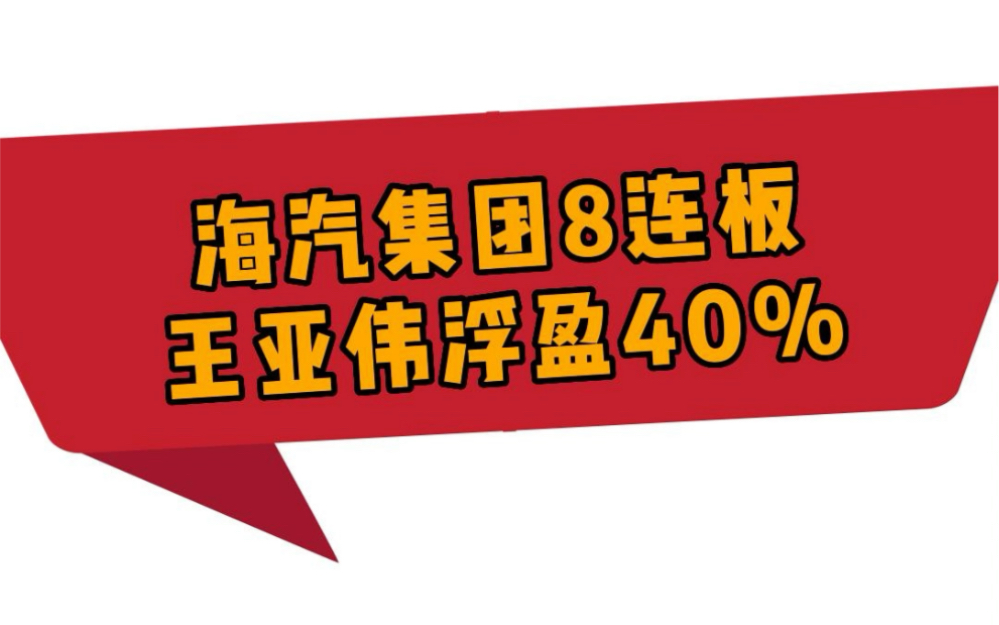 海汽集团八连板 王亚伟浮盈40%哔哩哔哩bilibili