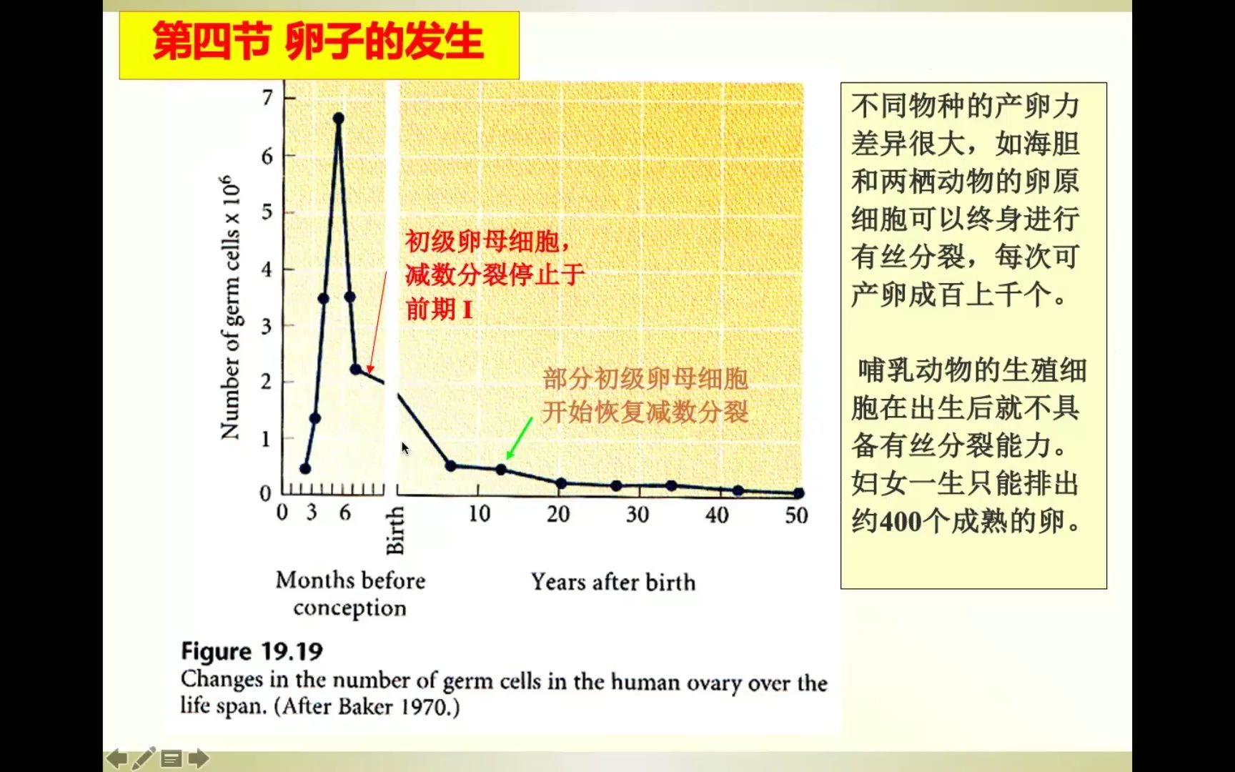 发育生物学第3课哔哩哔哩bilibili