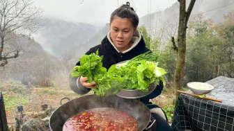 Download Video: 今天下大雨，欧妹摘了一盆豌豆尖，做个肥肠火锅吃过瘾