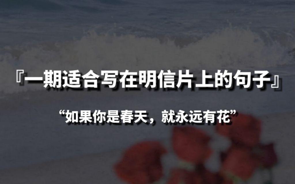 [图]【句子控】“如果你是春天， 就永远有花”，一些适合写在明信片上的句子