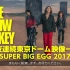 THE YELLOW MONKEY年始２夜連続東京ドーム映像一挙放送『SUPER BIG EGG 2017』