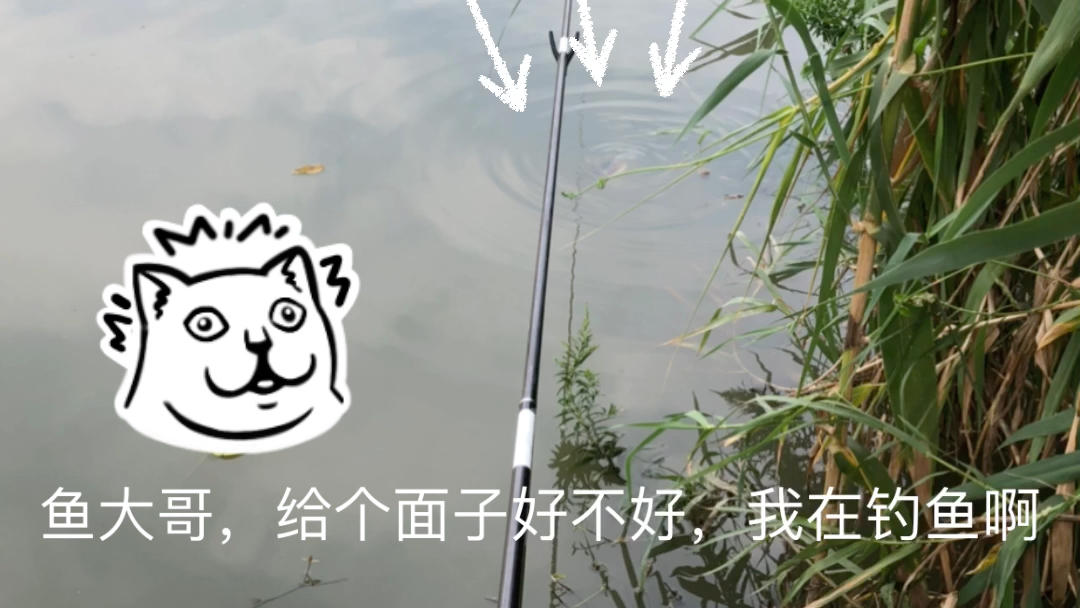 钓鱼空军一号