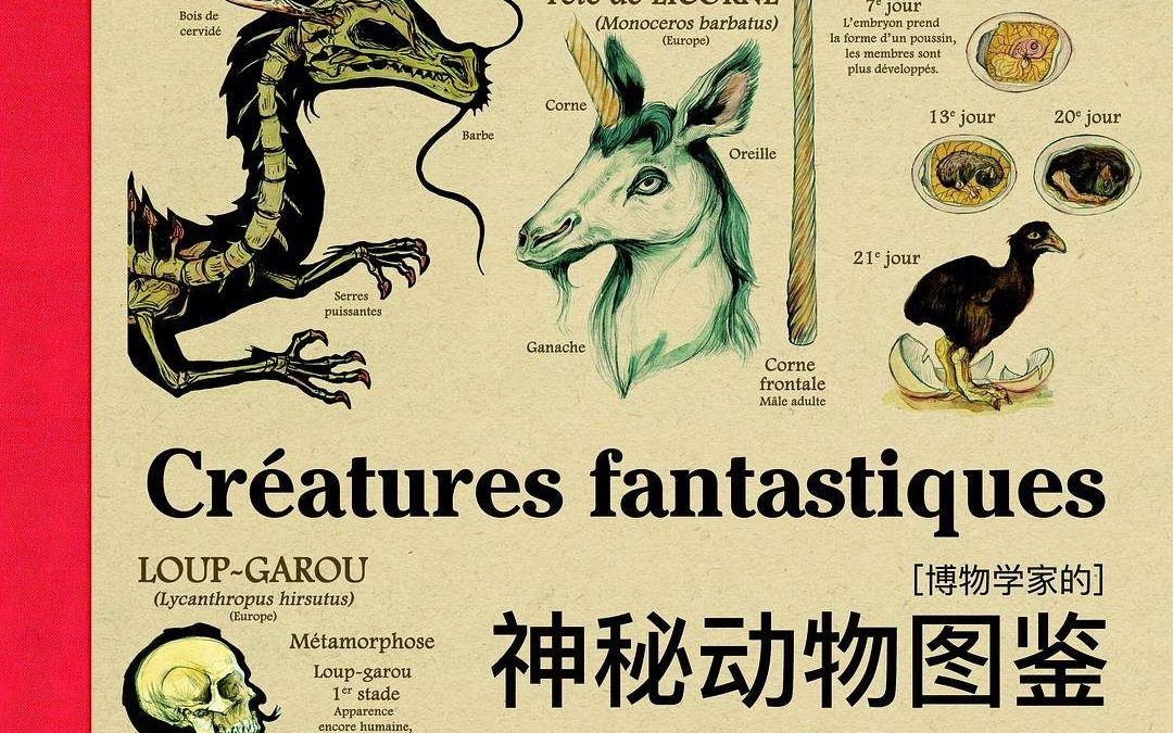 书架里的怪兽-硬核开箱荐书《博物学家的神秘动物图鉴》_哔哩哔哩 (゜