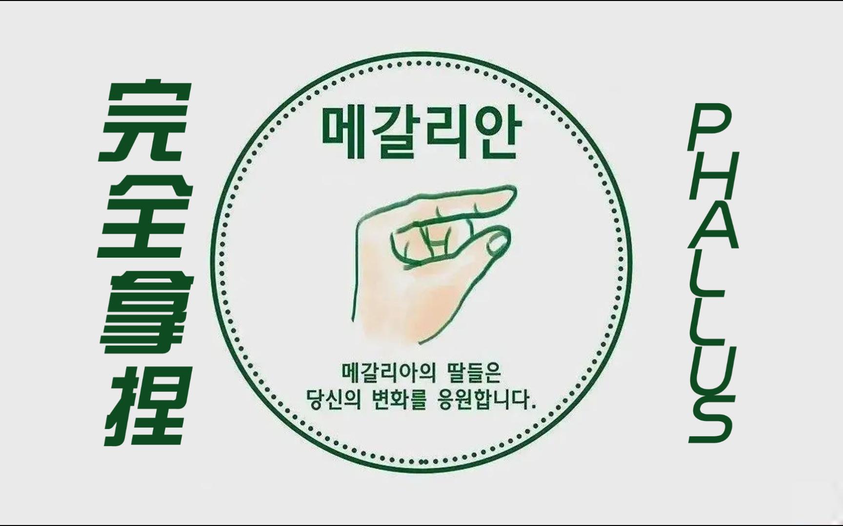 韩国国际手势图片