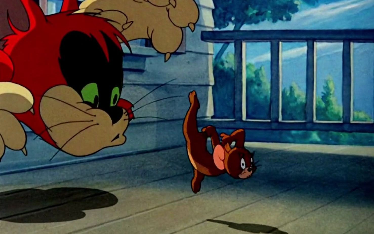 "每日一遍,防止emo""今日汤姆大战斯派克" #猫和老鼠