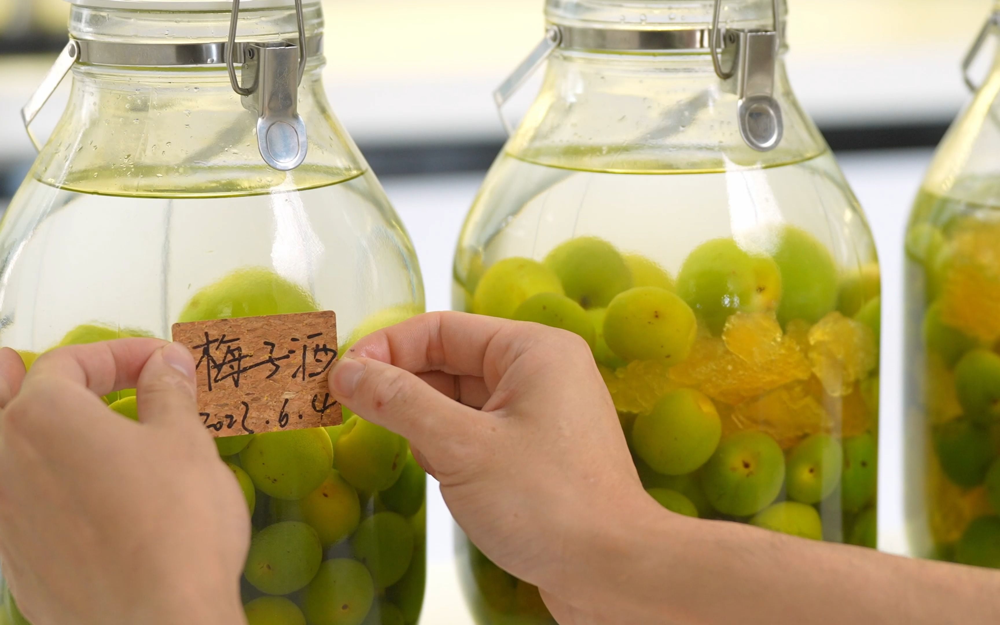 青梅酒制作丨每年青梅季一定要做的梅子酒,把春天封在瓶子里,等夏末和