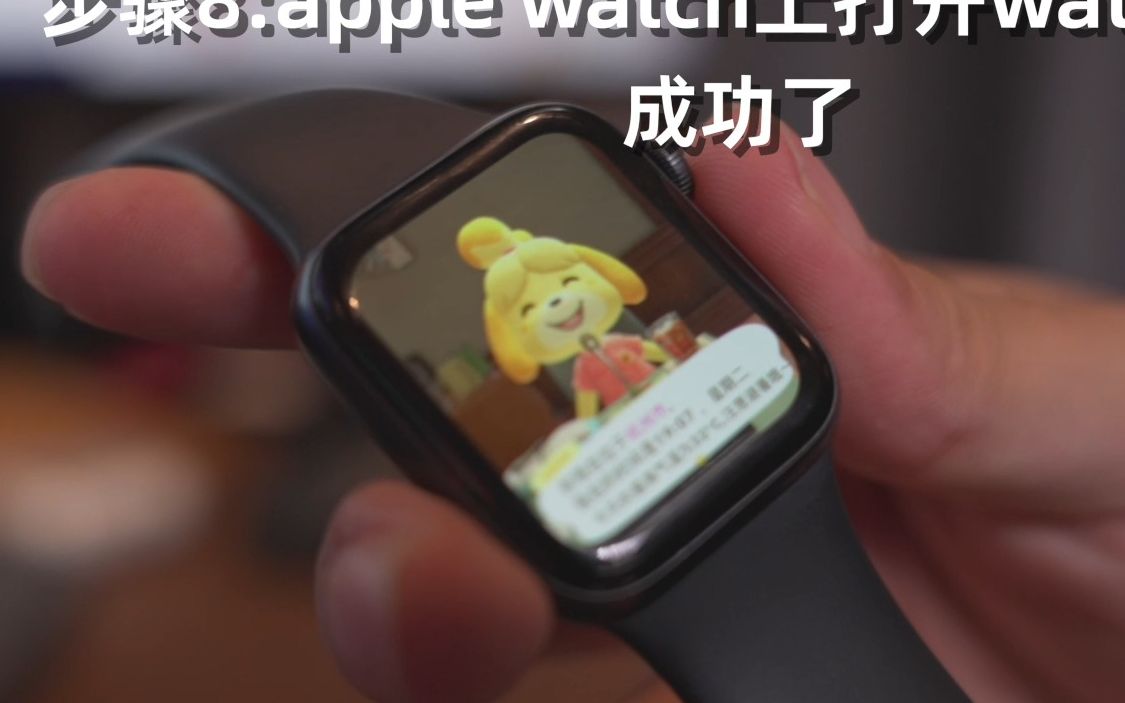 【教程】在Apple Watch上使用西施惠表盘!哔哩哔哩bilibili