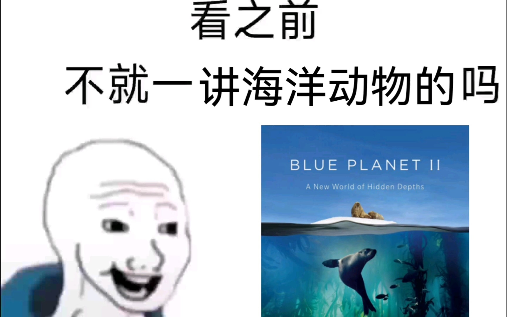 [图]《蓝色星球》——强烈推荐的高分纪录片