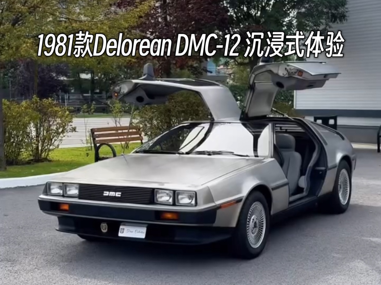 1981款Delorean DMC12 沉浸式体验哔哩哔哩bilibili