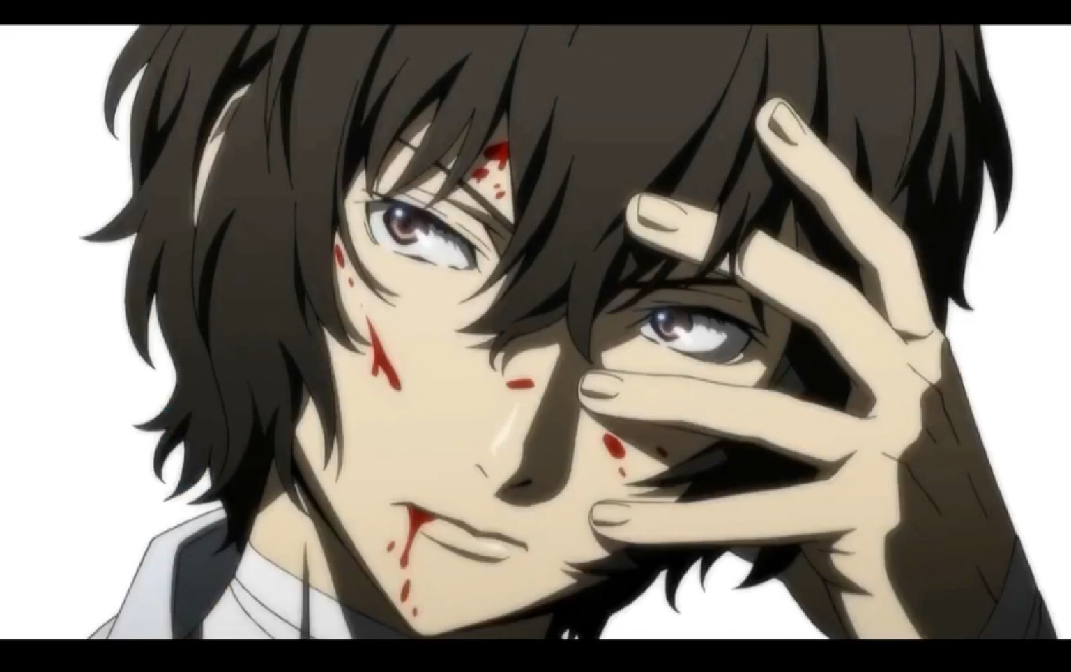 (文豪野犬)今天为野犬干杯!