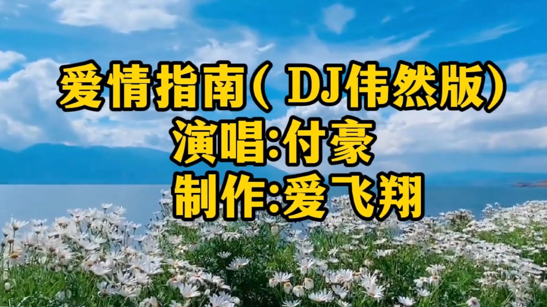 付豪《爱情指南(DJ伟然版)绕着圈兜兜转转,找不到爱情指南哔哩哔哩bilibili