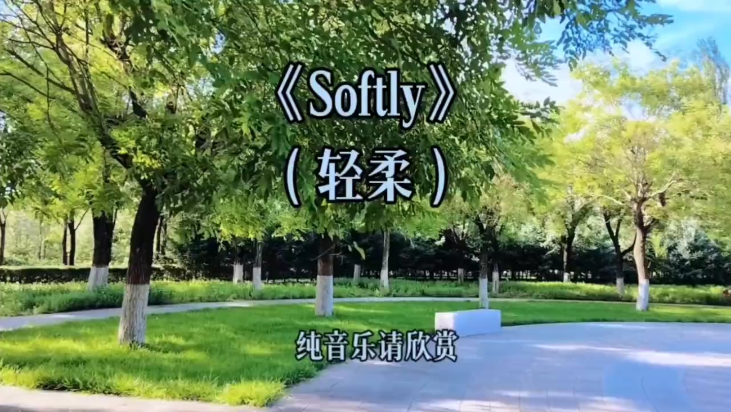 轻柔飘逸的顶级世界名曲《Softly》琴音似水,清澈纯净,滋润心灵哔哩哔哩bilibili