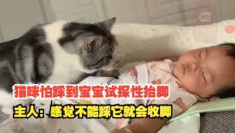 猫咪怕踩到熟睡宝宝试探性抬脚 ，主人：感觉不能踩它就会收脚。