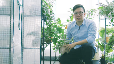 造园记 61 植物过冬秘籍 室内温室 哔哩哔哩 Bilibili 造园记 61 植物过冬秘籍 室内温室 哔哩哔哩 Bilibili