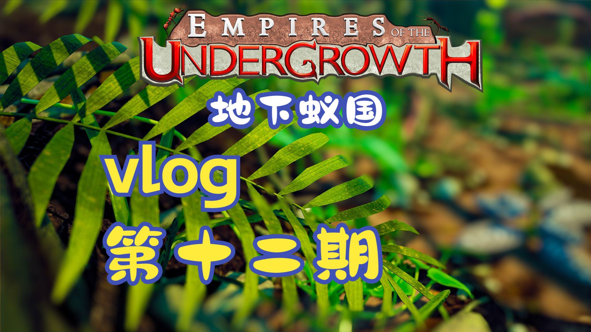 【地下蚁国】开发者Vlog第十二期：聊聊蚁国后续更新计划
